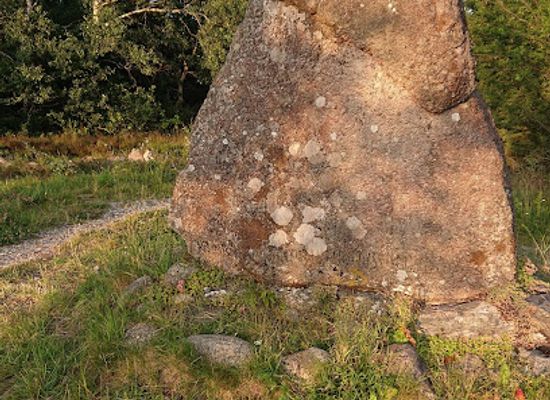 denmark/rebild-bakker/shop/kimbrerstenen-i-rebild-bakker
