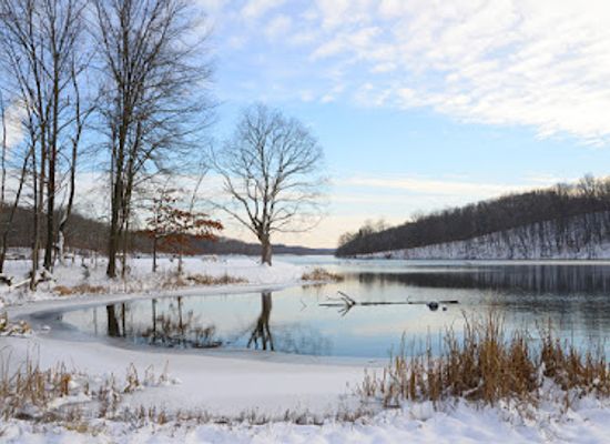 indiana/yellowwood-state-forest/shop/yellowwood-state-forest