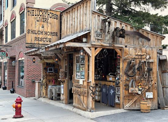 south-dakota/deadwood/shop/the-lucky-horse-livery