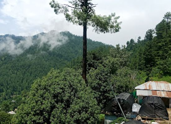 pakistan/azad-jammu-and-kashmir/shop/barian-bazar