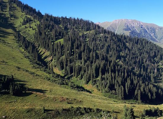 kazakhstan/almaty-mountains/shop/bowler-coffee-roasters-tsum