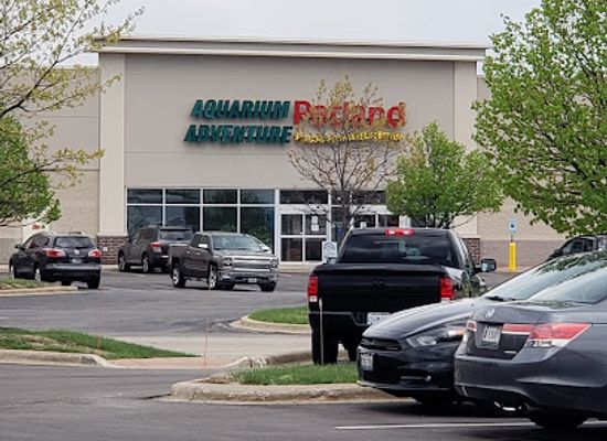 illinois/bolingbrook/shop/petland-bolingbrook