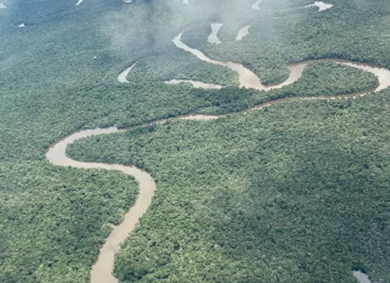 colombia/guainia-department/shop/puinawai-national-reserve