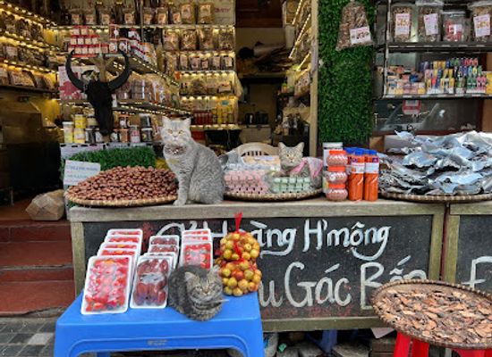 vietnam/sapa/shop/hat-de-hoang-trang