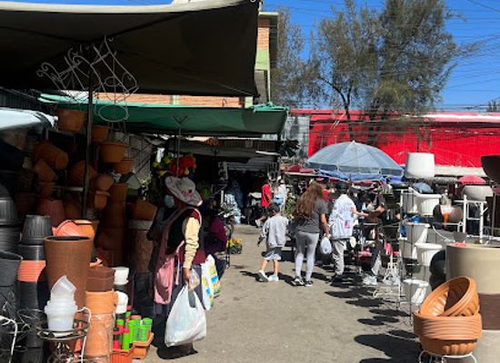 bolivia/beni-savannas/shop/la-cancha
