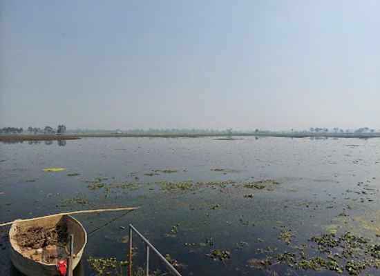 india/indo-gangetic-plain/shop/samaspur-bird-sanctuary