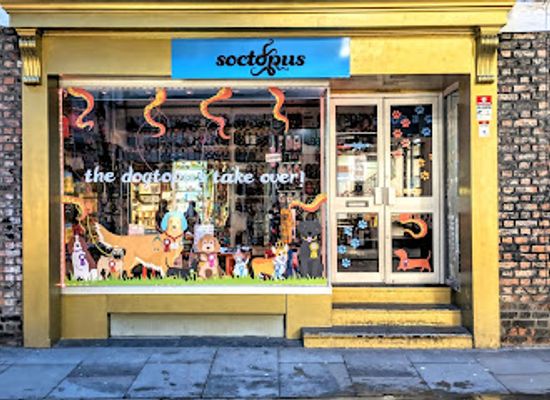 united-kingdom/york/shop/soctopus