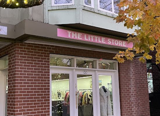washington/seattle/queen-anne/shop/the-little-store-queen-anne