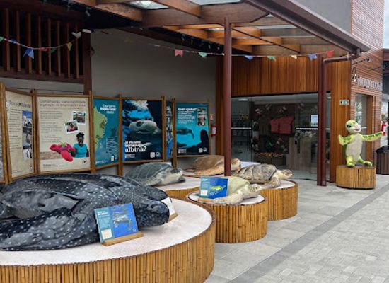 brazil/litoral-norte/shop/ubatuba-mall