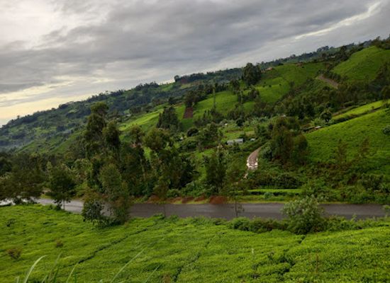 kenya/nyandarua-range/shop/gacharage-ini-shopping-center