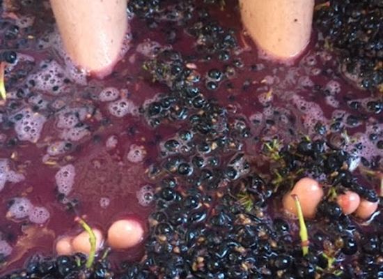australia/barossa-valley/shop/z-wine