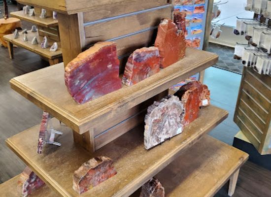 arizona/petrified-forest-national-park/shop/petrified-forest-trading-company