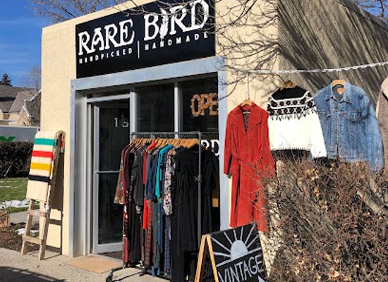 montana/bozeman/shop/rare-bird-vintage