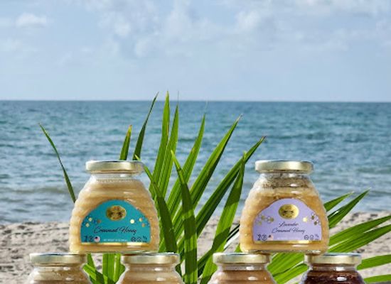 florida/miami-beach/shop/sunny-honey-miami