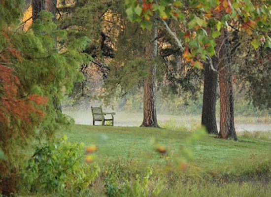 kentucky/bernheim-arboretum-and-research-forest/shop/bernheim-forest-and-arboretum
