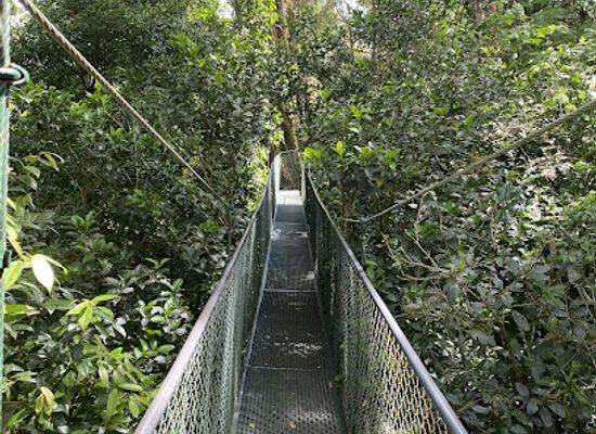 costa-rica/monteverde-cloud-forest/shop/100-aventura