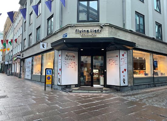 sweden/gothenburg-archipelago/shop/flying-tiger-copenhagen