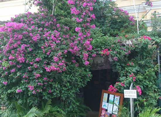 cambodia/kampot/shop/ylang-ylang-gallery