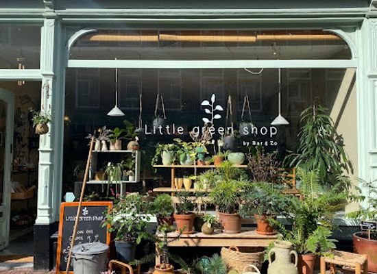 netherlands/the-hague/centrum/shop/little-green-shop