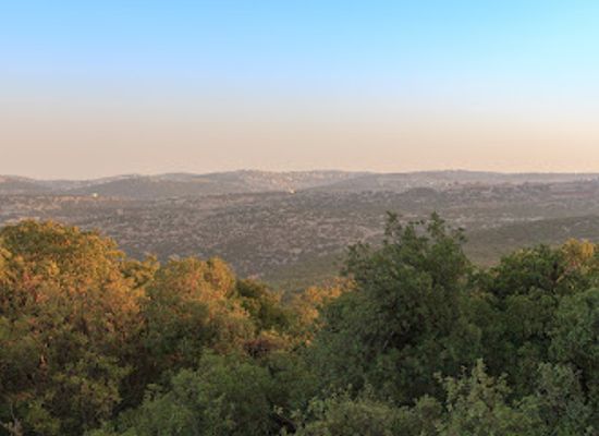 jordan/ajloun-forest-reserve/shop/ajloun-reserve