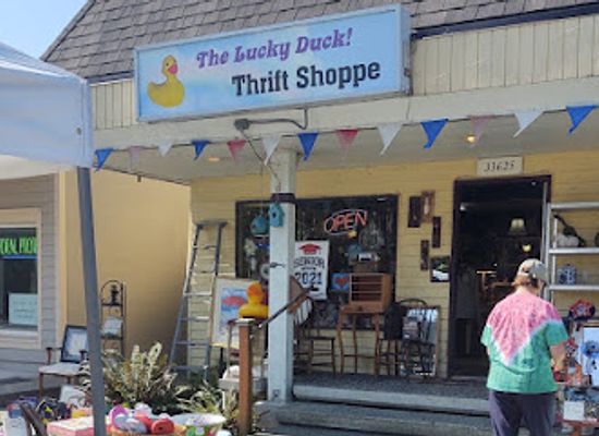 washington/mount-baker-snoqualmie-national-forest/shop/the-lucky-duck-thrift-shoppe