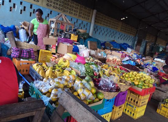 jamaica/manchester-plateau/shop/mandeville-market