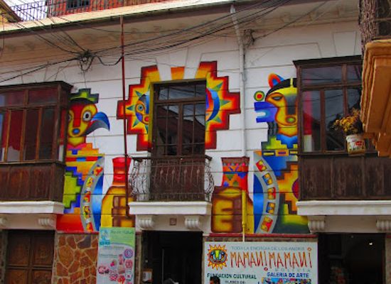 bolivia/amazon-basin/shop/mamani-mamani-gallery