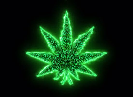 malta/marsa/shop/high-bud-s-shop