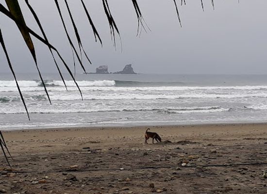 ecuador/ayampe-beach/shop/mineral-surf-shop