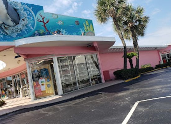 florida/ponce-inlet/shop/big-shark