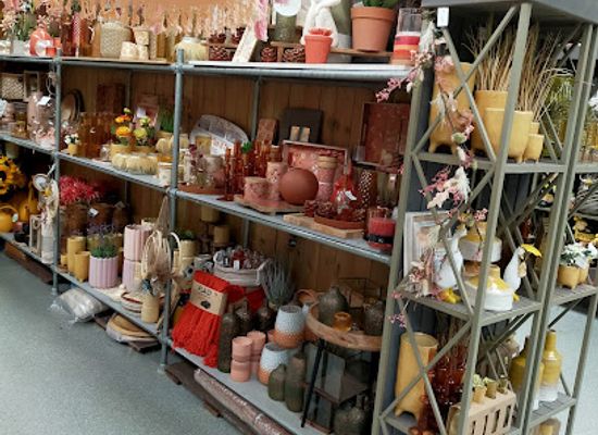belgium/zenne-valley/shop/floralux-sint-pieters-leeuw