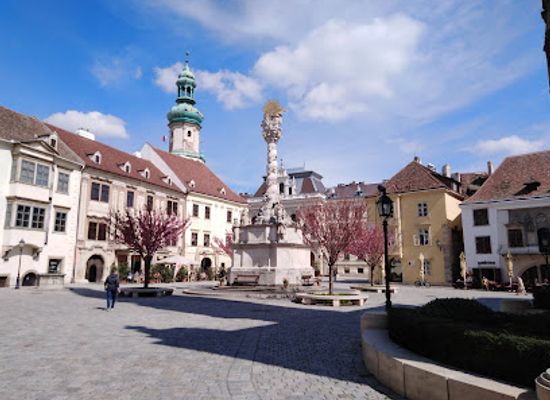 hungary/sopron/shop/masni-ajandek