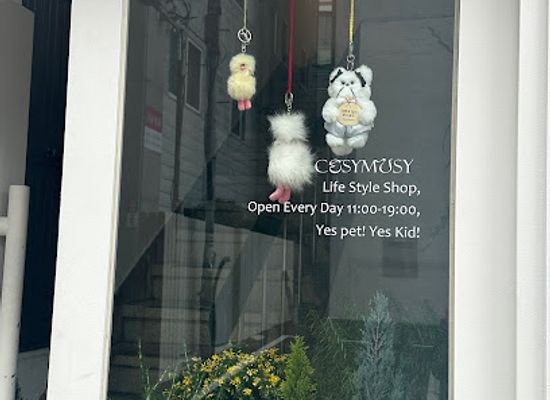 south-korea/busan/shop/cosymosy