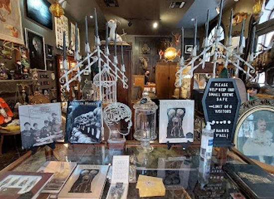 louisiana/new-orleans/french-quarter/shop/dark-matter-oddities-artisan-collective