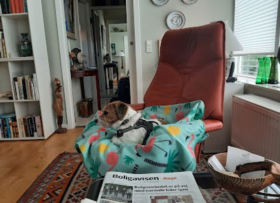 denmark/koge/shop/mode