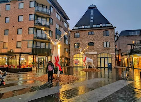 belgium/limburg/shop/primark