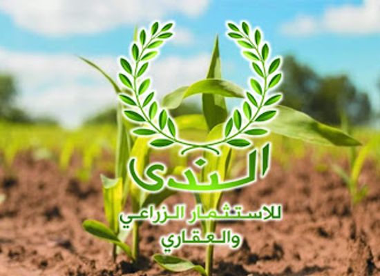 egypt/white-desert-national-park/shop/al-ndy-lalstthmr-alzraai-walqary-balfrf