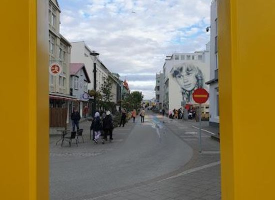 iceland/dalvik/shop/hafnarstrati