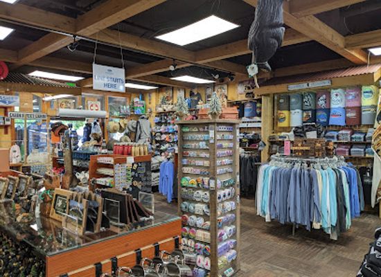 california/lake-tahoe/shop/up-shirt-creek