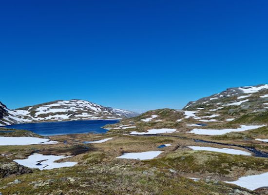 norway/hardangervidda-national-park/shop/hardangervidda-national-park