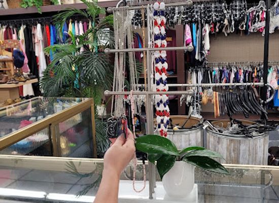 illinois/southern-illinois/shop/the-thrift-shop