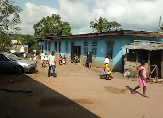 guinea/mount-nimba-strict-nature-reserve/shop/area-p-market