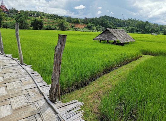 thailand/mae-hong-son/shop/zu-tong-tae-bridge