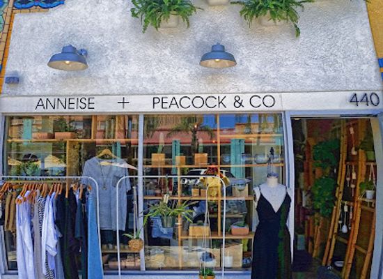 california/long-beach/shop/anneise