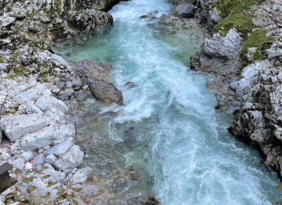 slovenia/triglav-national-park/shop/natour-bled-vintgar-gorge-shuttle-beer-shop-bled