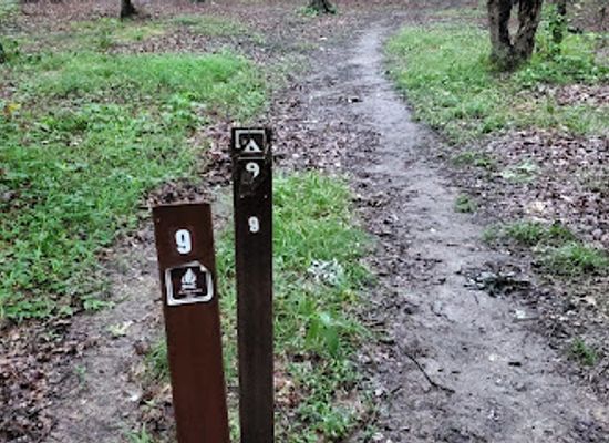 ohio/mohican-state-park/shop/mohican-state-park-backpack-campsite-9