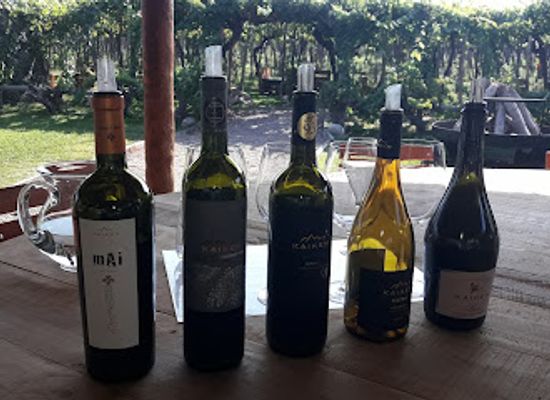 argentina/mendoza-wine-region/shop/bodega-kaiken