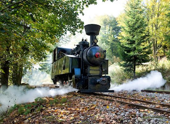 poland/orava/shop/orava-logging-railway