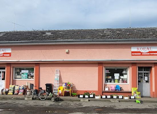 slovakia/zemplin/shop/alica-kosztyuova-koral