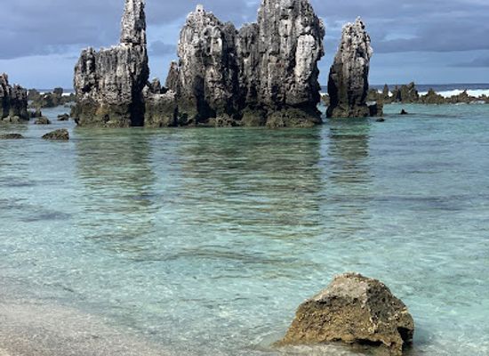 nauru/ijuw/shop/turtle-shop-food-and-drinks